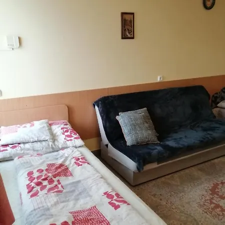Vadvirag Vendeghaz * Nyíregyháza
