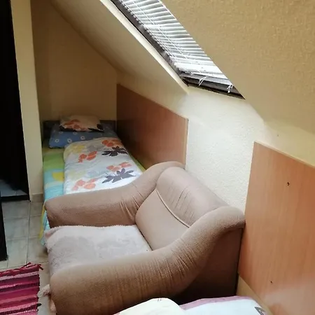 Vadvirag Vendeghaz *