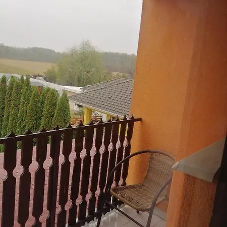 Vadvirág Nyíregyháza